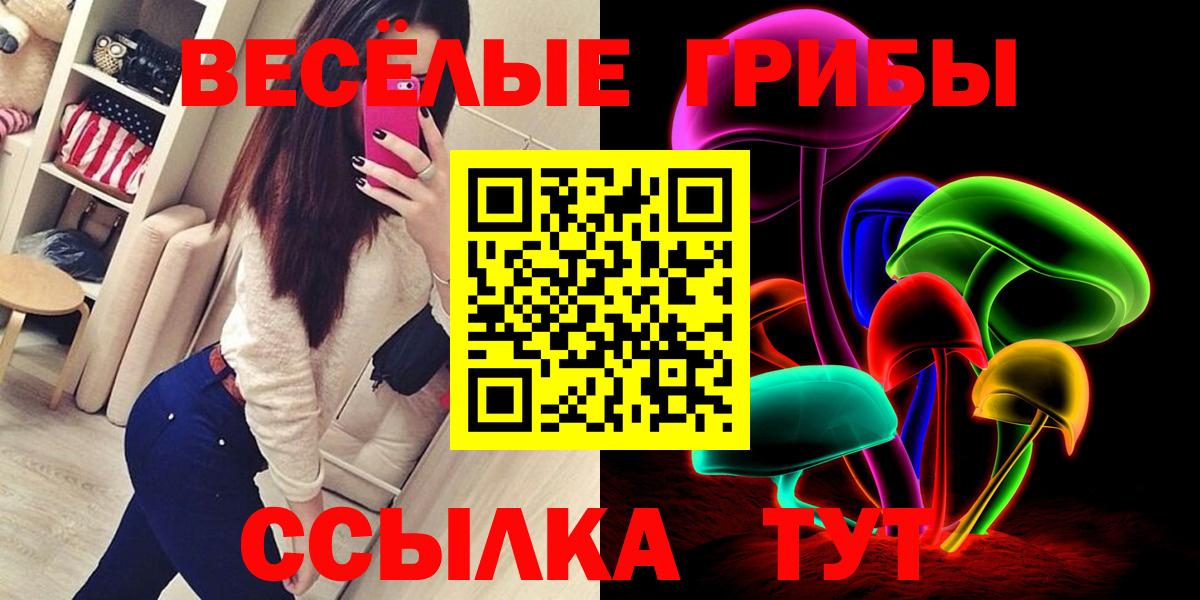 Галлюциногенные грибы Cubensis Ковров
